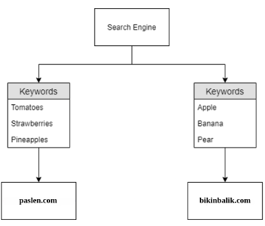 ilustrasi kamus keyword search engine
