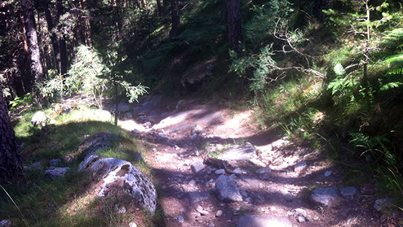 Unas fotos de nuestra ruta por el Carril del Gallo y el Eresma - Julio 2013