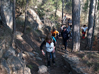 El corriol de pujada des de la pista de Les Canals