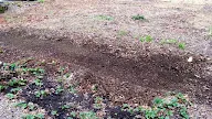 How To Make Clyde Compost In  Days Or Less