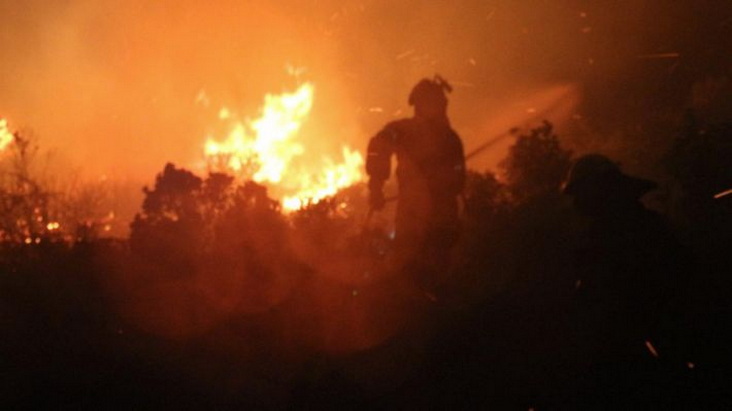 Παρέμβαση του ΚΚΕ για την καταστροφική πυρκαγιά στο Δάσος Δαδιάς