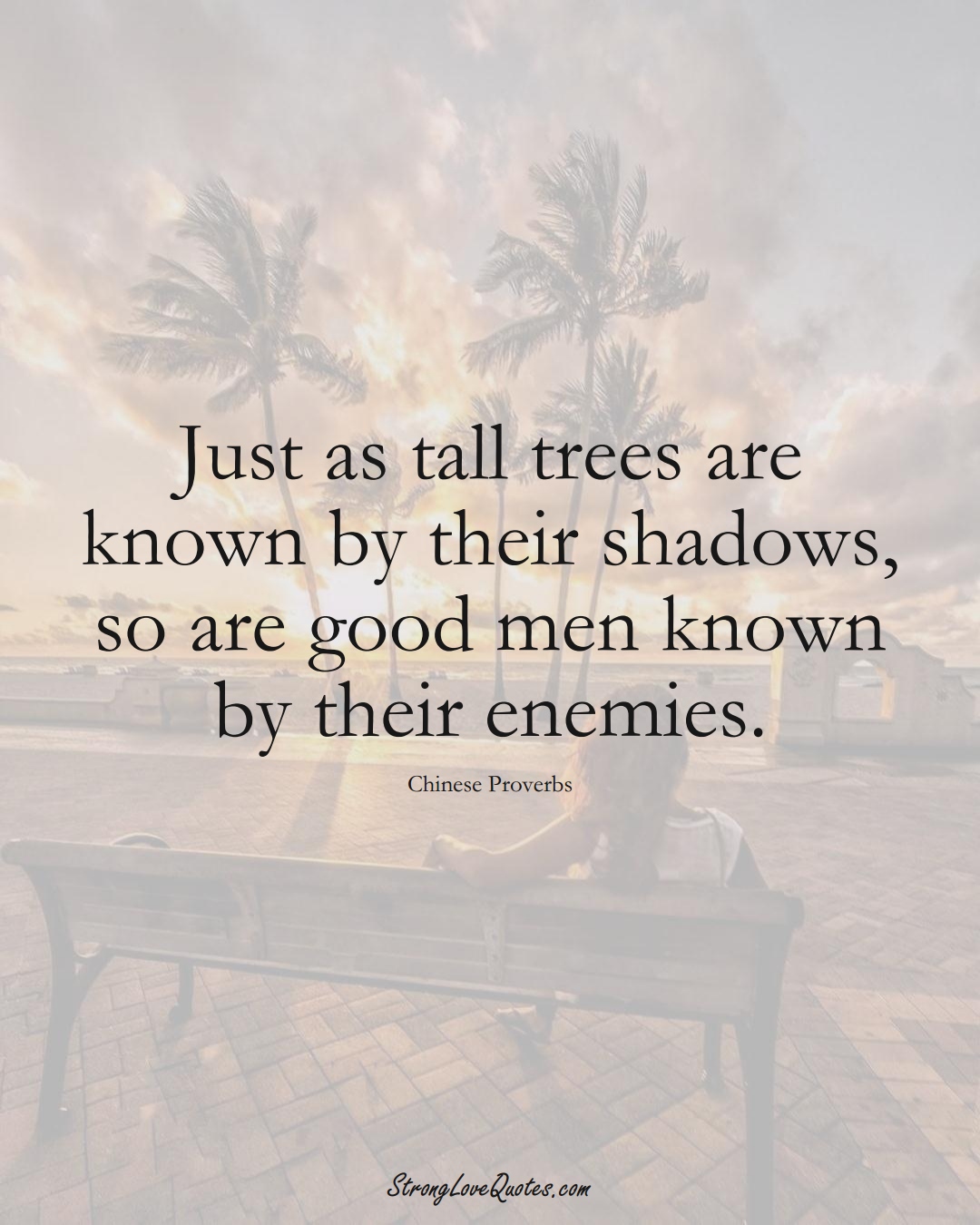 Just as tall trees are known by their shadows, so are good men known by their enemies. (Chinese Sayings);  #AsianSayings