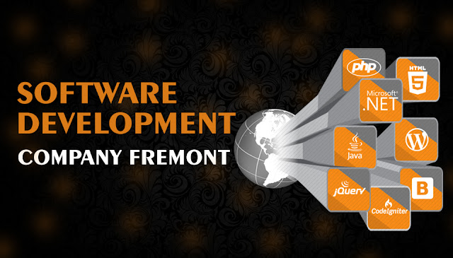 Software development company Fremont