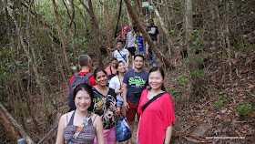 Jungle Walk, Sky Bridge, Langkawi, Malaysia