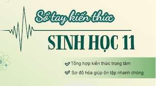 [PDF] Sổ Tay Kiến Thức Sinh Học Lớp 11