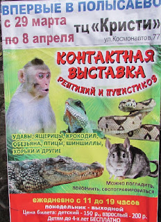 Выставка