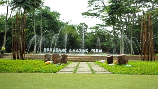 Dkandang