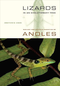 Lizards in an Evolutionary Tree – Ecology and Adaptive Radiation of Anoles