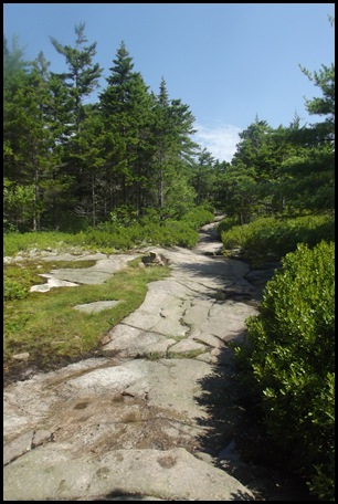 Gorham Mountain Hike 024