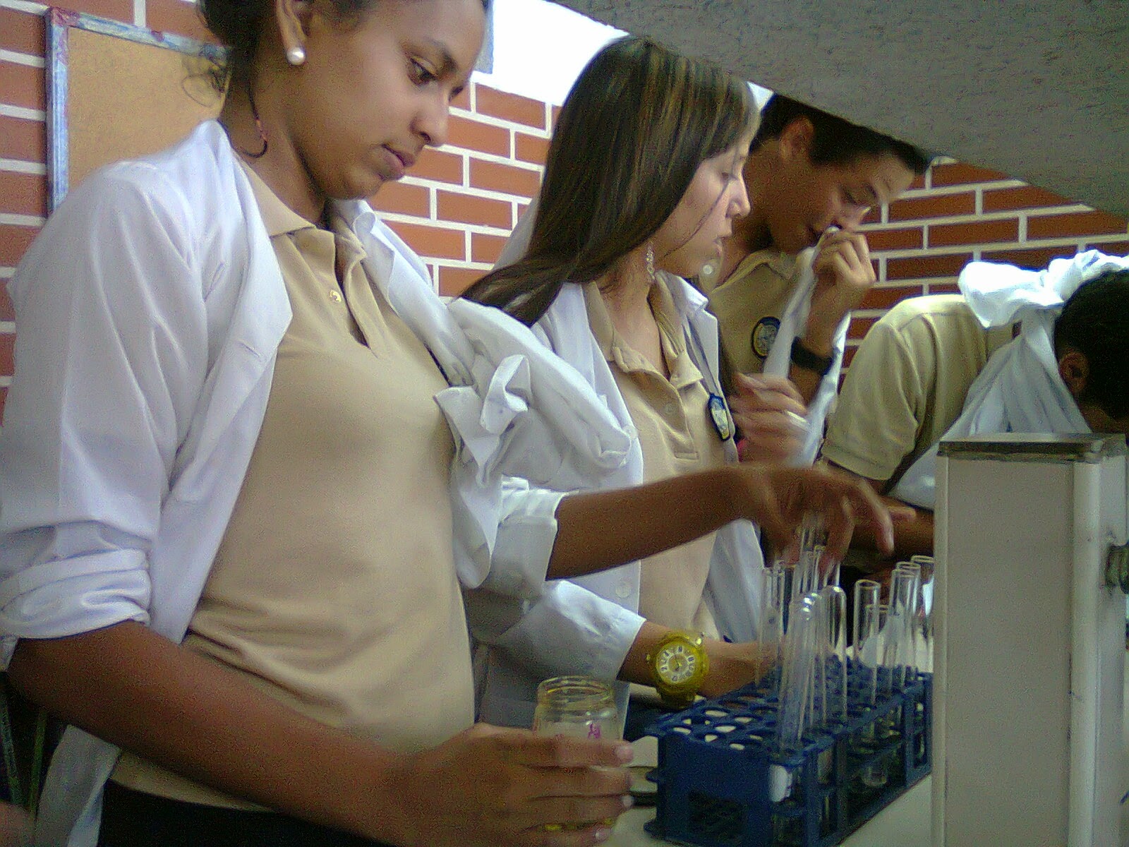 Alumnas de quinto 2013