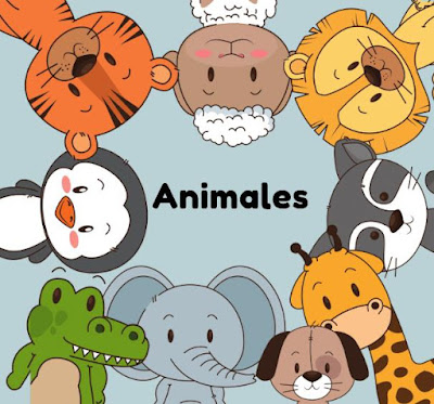 Animales. Vocabulario y actividades