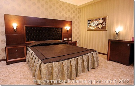 Yalova Termal Kaplıcaları Yeni Termal Otel