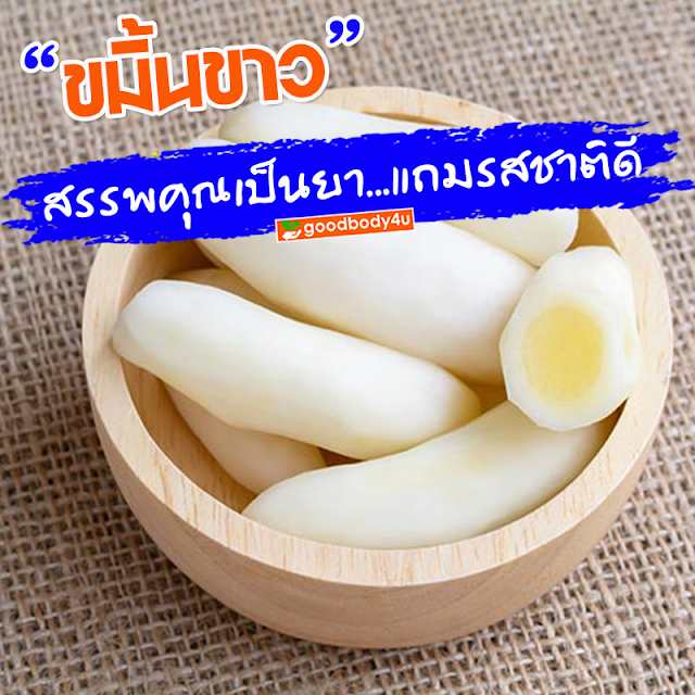 อาหารไม่ย่อย, กระเพาะอักเสบ ,ลำไส้อักเสบเรื้อรัง ,ท้องอืด, goodbody4u, นิชาภา