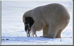clip_image002[10]