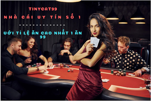 tinycat99 - casino