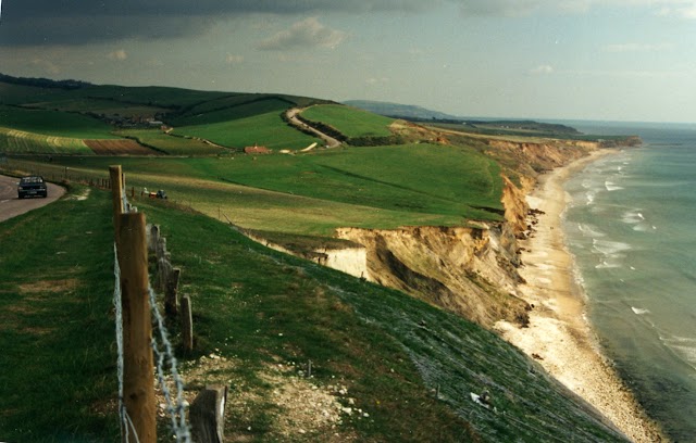 New Types of Dinosaur Found on Isle of Wight 