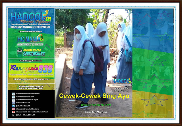 Rengganis Picture 839 - Gambar SMA Soloan Spektakuler Cover Putih Abu-Abu K3 (SPSA) Kustom – 30 A