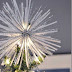 decoración Navideña, ideas para estrella del arbol de Navida