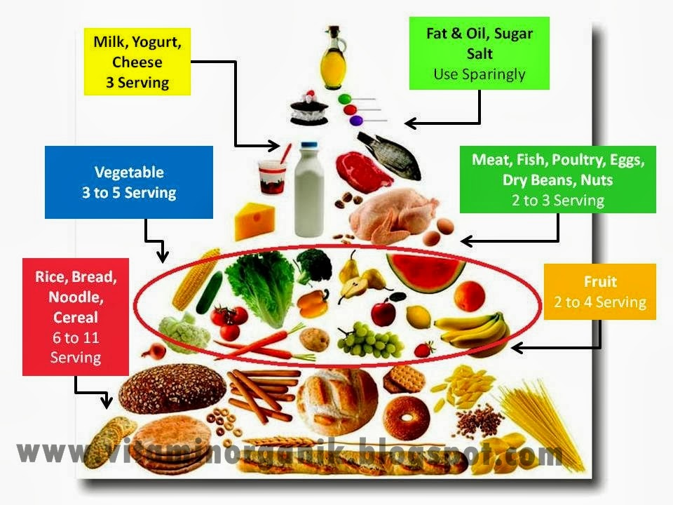 Pemakanan Sihat Ibu  Mengandung vitaminorganik com