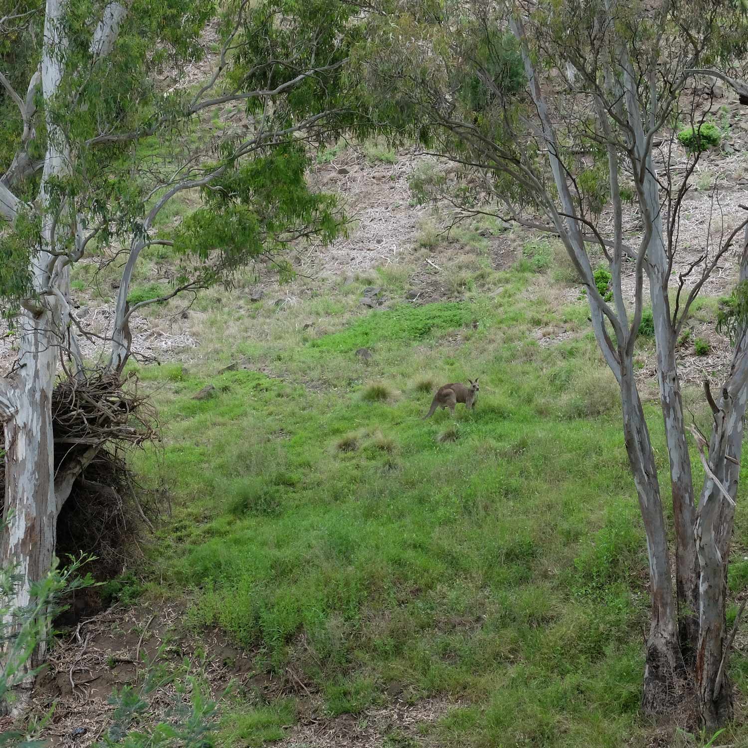 Horseshoe Bend Farm (Keilor)