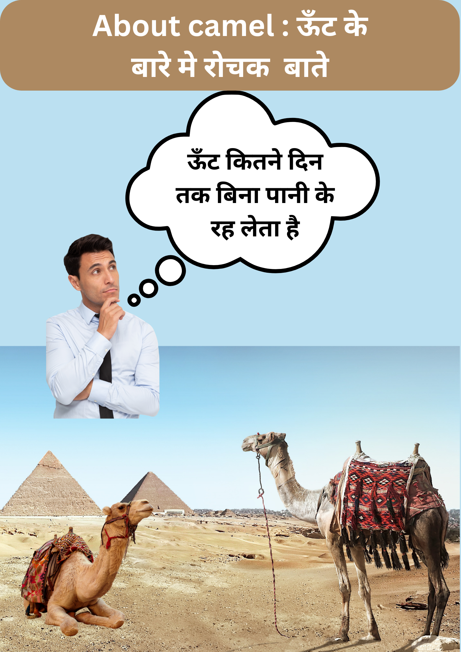 ऊँट के बारे में रोचक तथ्य : About Camel in hindi