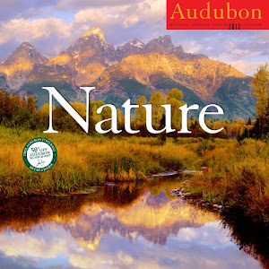 Audubon Nature Calendar 2013