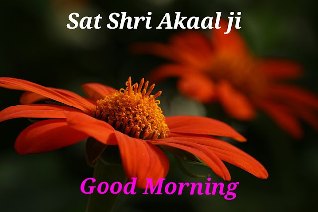Sat Shri Akaal Good Morning