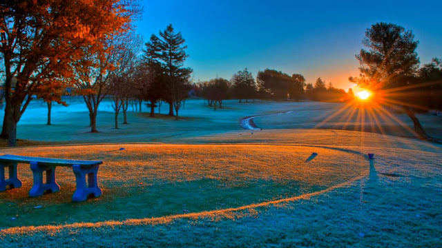 Featured Nature Image | Desktop Wallpaper | The Nature Conservancy