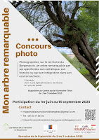 Affiche du concours photo "Mon arbre remarquable"