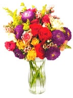 summer-flowers