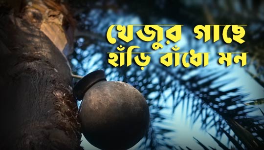 Khejur Gache Hari Badho Mon Lyrics (খেজুর গাছে হাঁড়ি বাঁধো মন) Folk Song | A1 Lyrics4u