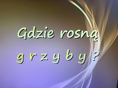 Na slajdzie pytanie: Gdzie rosną grzyby?