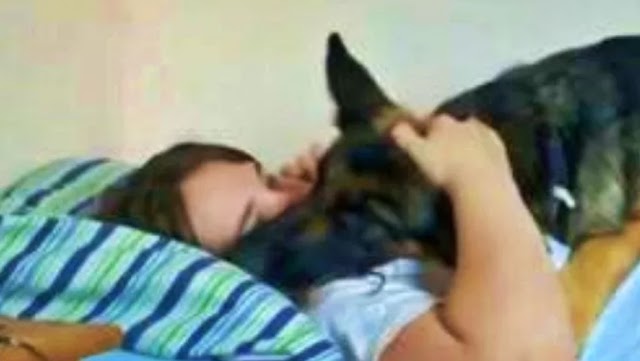 Homem flagra mulher na cama lhe traindo com cachorro e é ameaçado de morte; veja vídeo