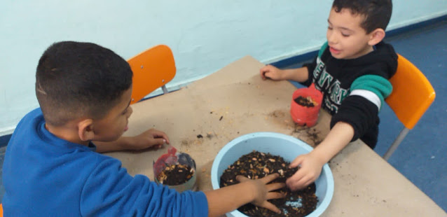 Projeto de Reciclagem - Educação Ambiental!