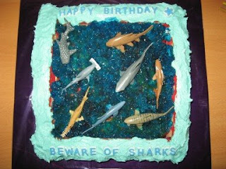 Shark Birthday Cake on 168 Hours  Shark Birthday Cake