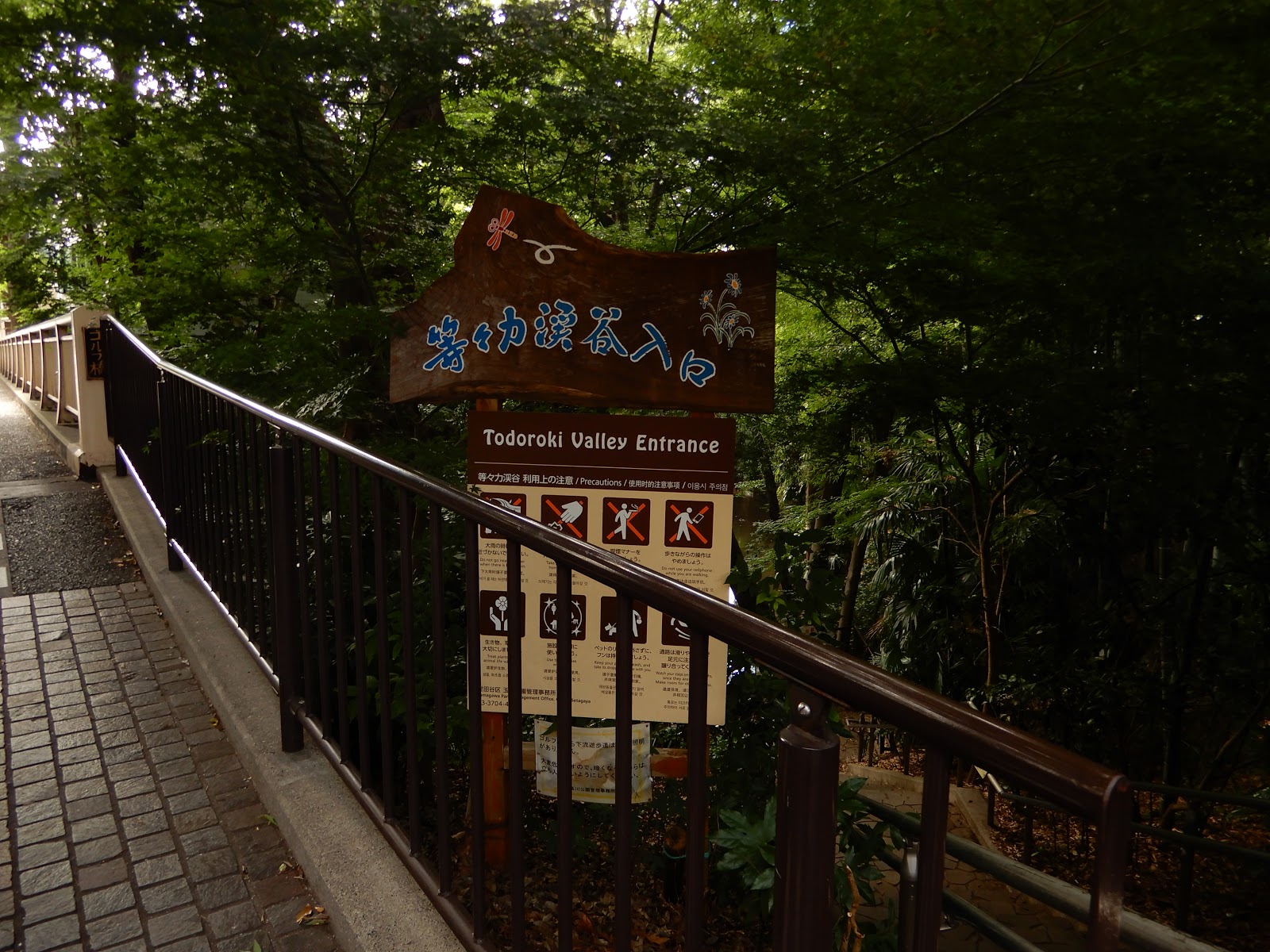 隠れた避暑スポット 等々力渓谷に行ってきた