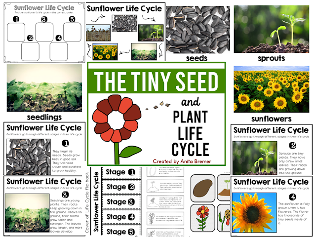 The Tiny Seed book activities unit with literacy companion activities & plant life cycle worksheets Kindergarten and First Grade