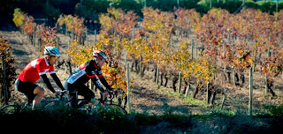 Cycling Penedes