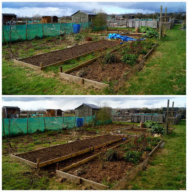 14b overview - 'growourown,blogspot.com' ~an allotment blog