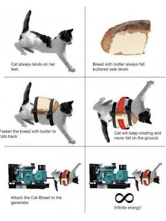 cat funny photo image energy source infinite science