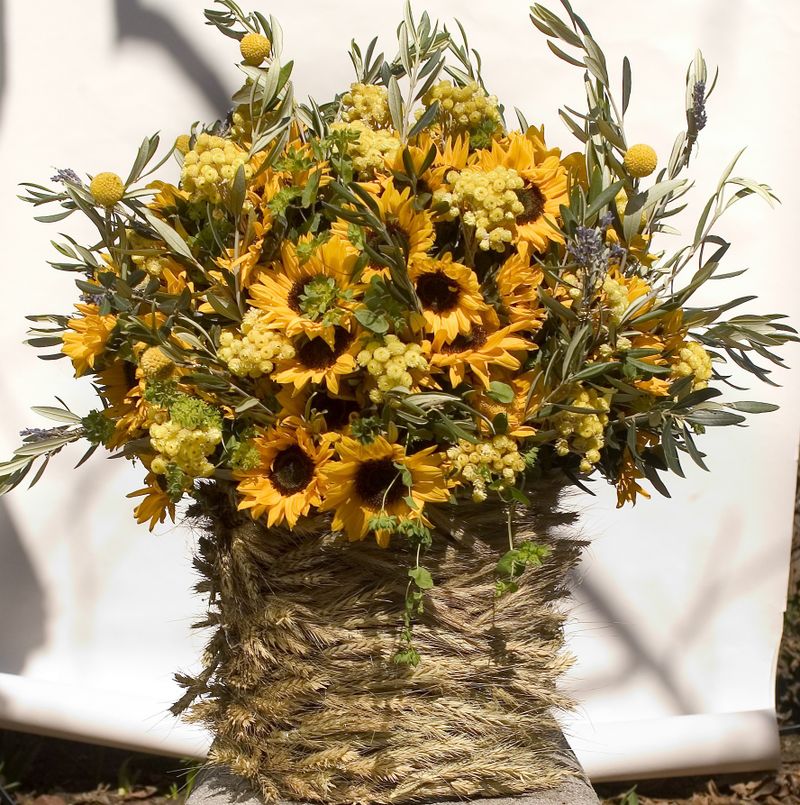 Newport RISunflower Weddings