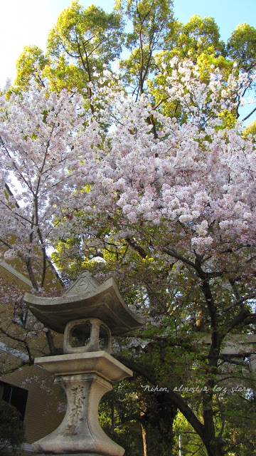 Fujinomori jinja