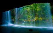 Best HD Nature Wallpapers 2012