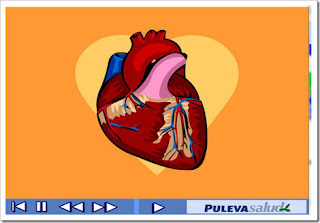 http://www.pulevasalud.com/ps/Zips/5282/corazon.swf