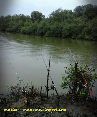 Pekalongan Banyak Tempat Dan Spot Mancing, Suka Yang Mana