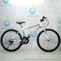 26 Inch Senator Everton Mountain Bike