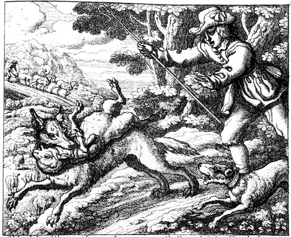 drawing of a boy and a dog chasing a wolf as it runs away with a sheep in its mouth