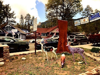 Painted Deer Project Idyllwild California