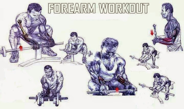 Forearm Muscle Building Exercises