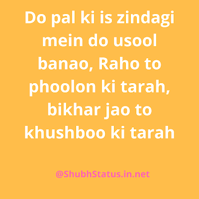 Do pal ki is zindagi main do usool banao.. Dard bhari Shayari image